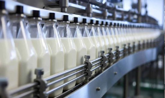 Dairy Industry